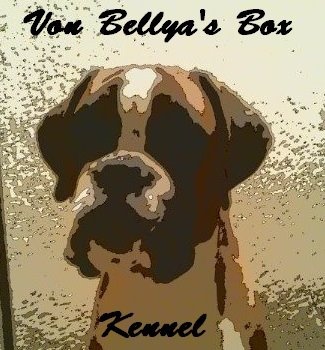 Von Bellya's Box